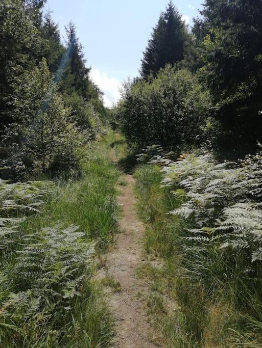 Apartamento Les 3 Freres : Plain-pied En Pleine Nature